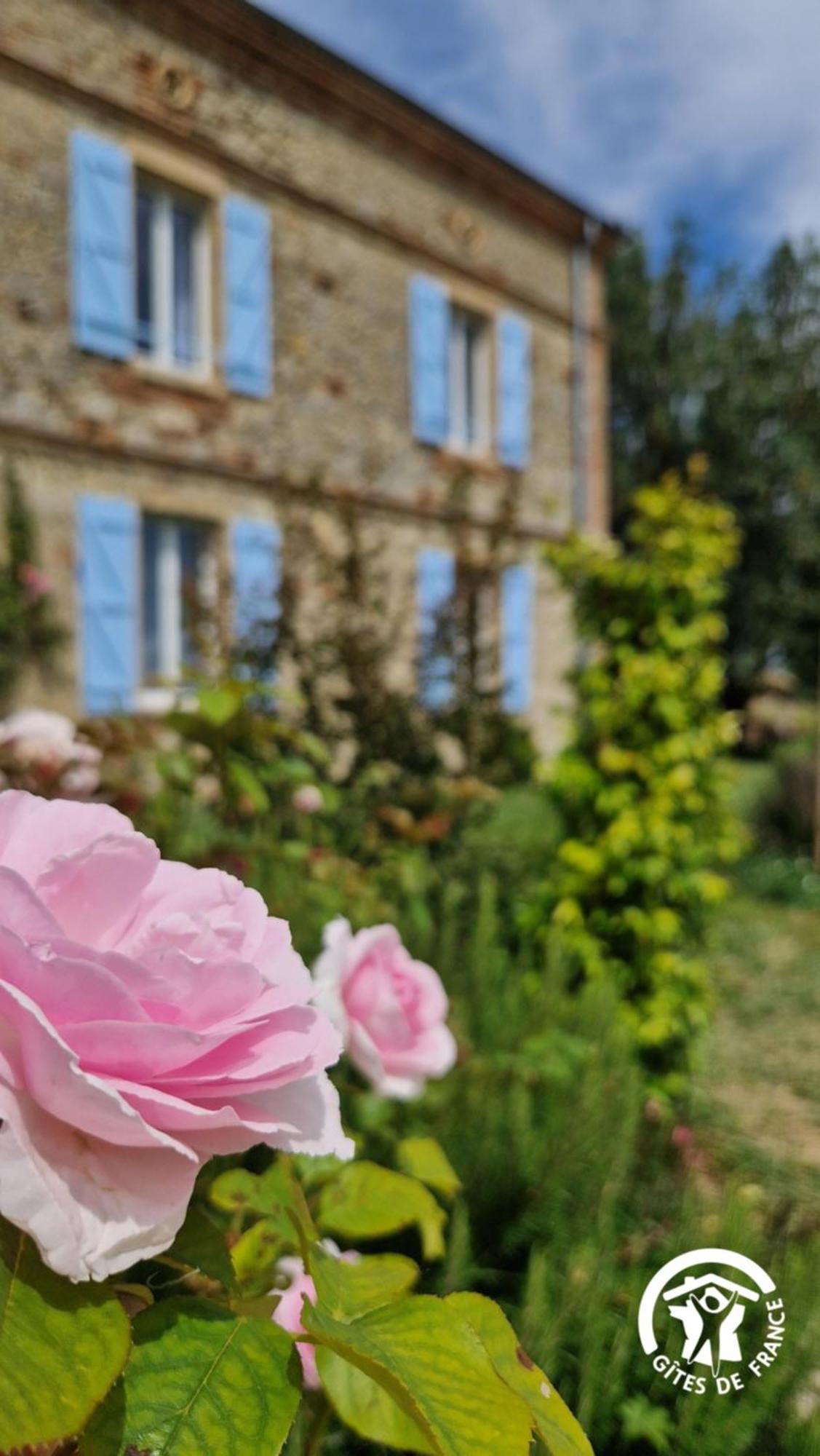 Aux Roses De Cedres Chambre Savane Salvagnac Eksteriør billede